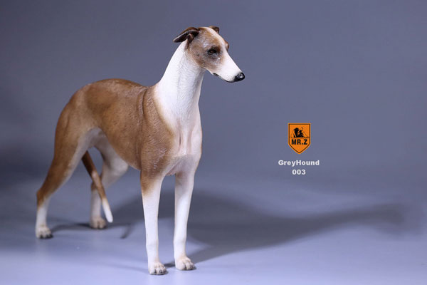 1/6 Greyhound 003　