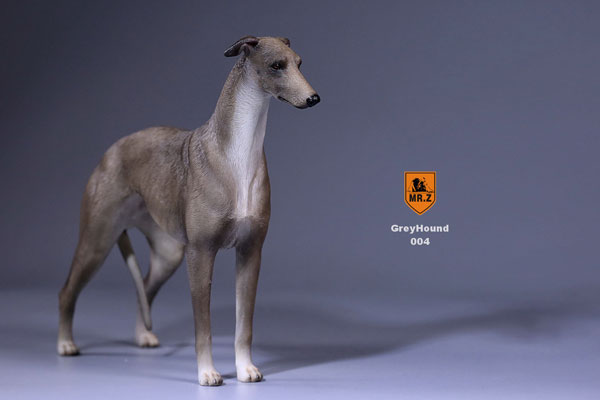 1/6 Greyhound 004　