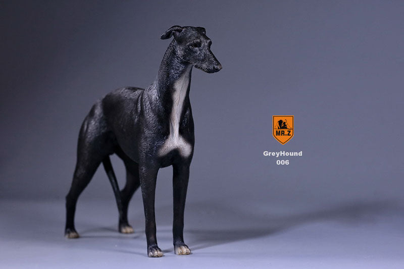 1/6 Greyhound 006　