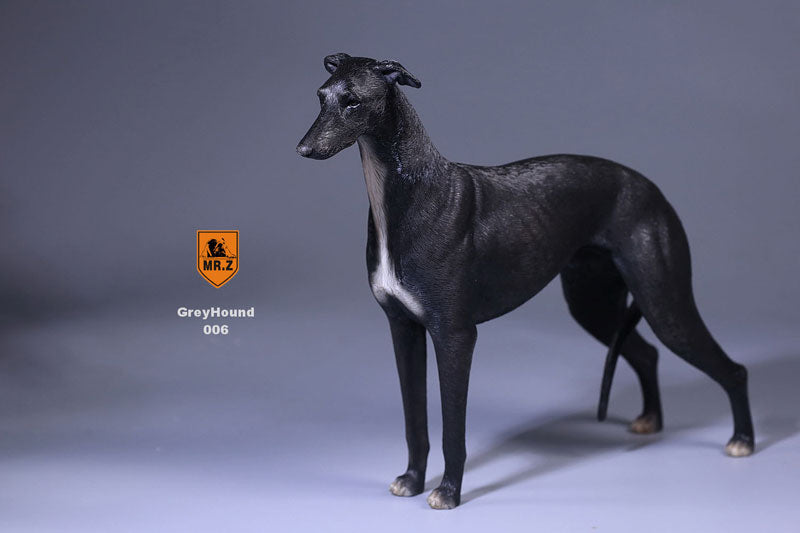 1/6 Greyhound 006　