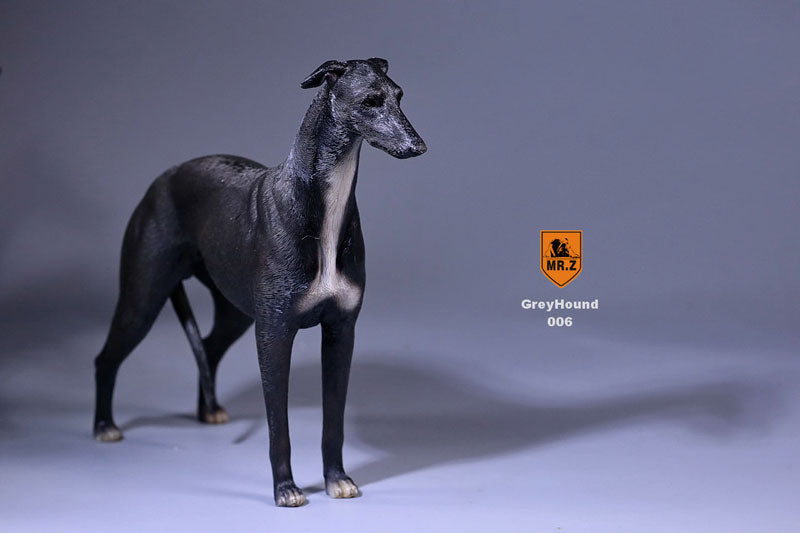 1/6 Greyhound 006　