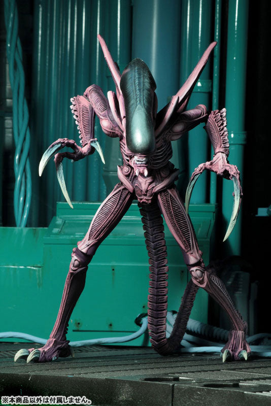 Alien VS Predator Arcade / 7 Inch Action Figure Alien Side: 3Type Set