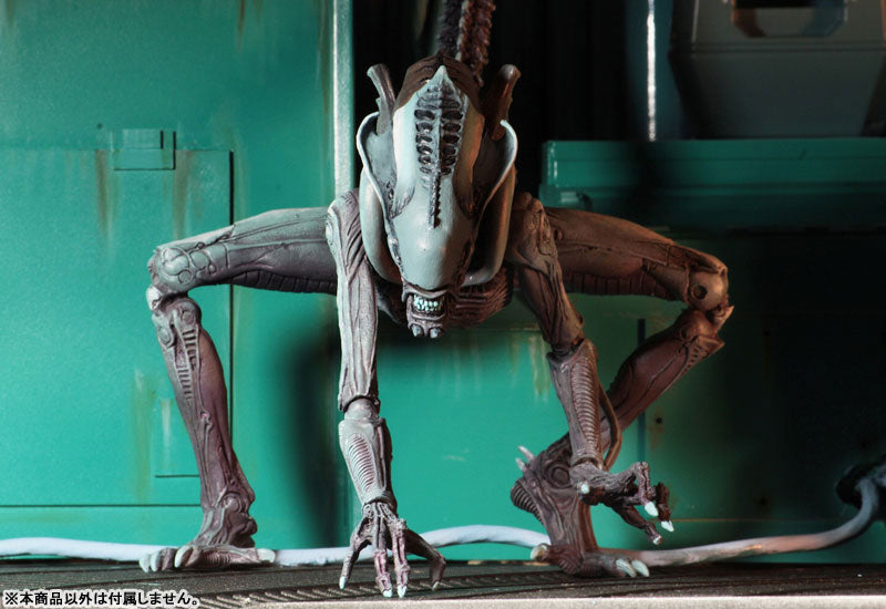 Alien VS Predator Arcade / 7 Inch Action Figure Alien Side: 3Type Set