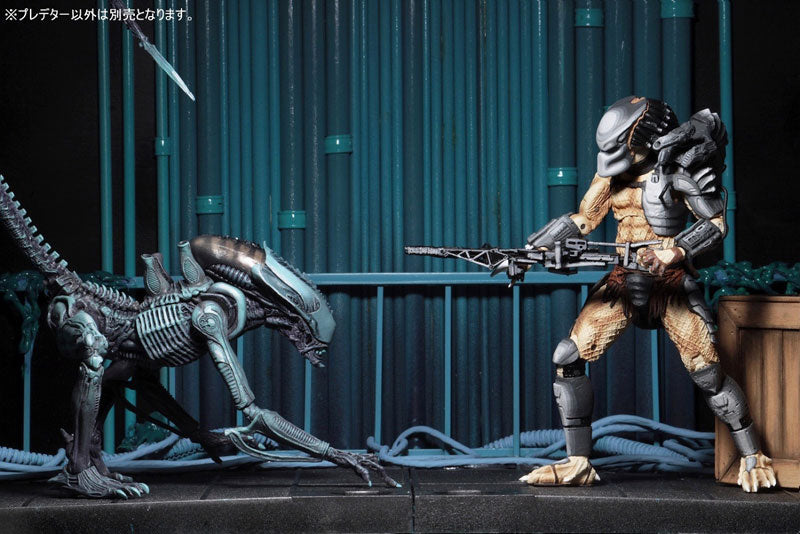 Alien VS Predator Arcade / 7 Inch Action Figure Predator Side