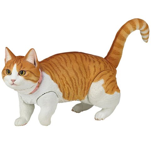 Soft Vinyl Toy Box 016A Cat Munchkin