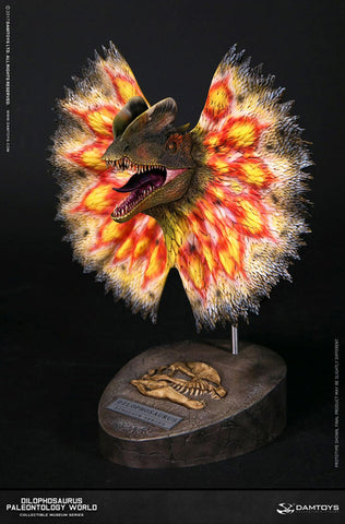 Museum Series - Dilophosaurus Bust A