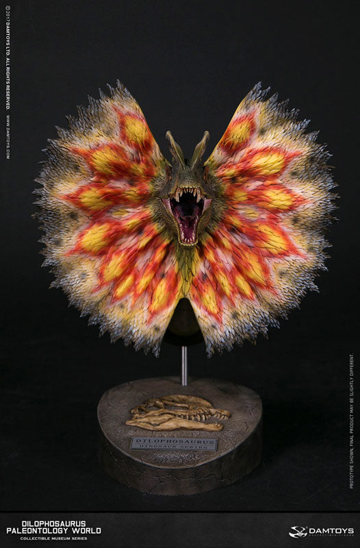 Museum Series - Dilophosaurus Bust A