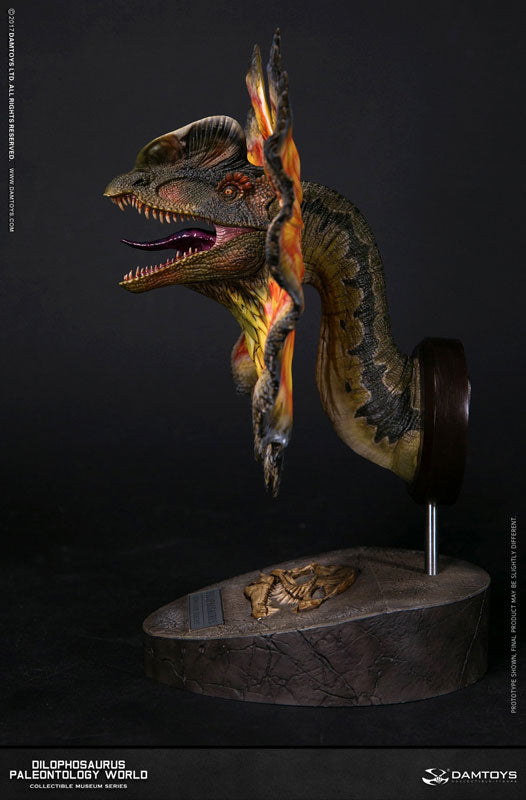 Museum Series - Dilophosaurus Bust A