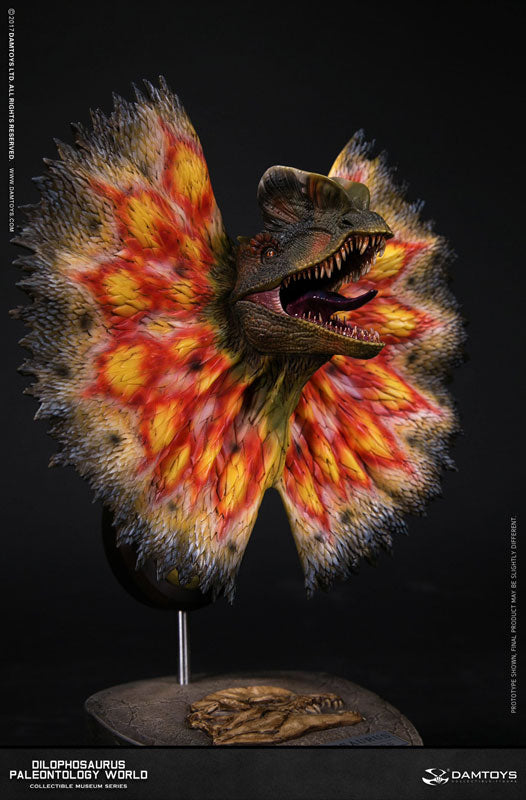 Museum Series - Dilophosaurus Bust A