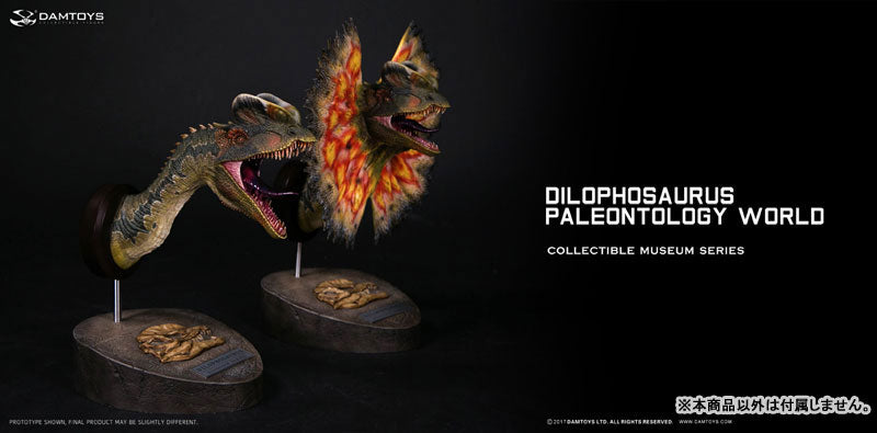 Museum Series - Dilophosaurus Bust A