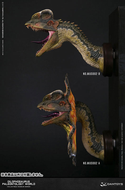 Museum Series - Dilophosaurus Bust A