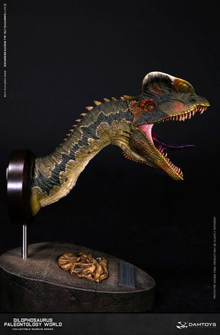 Museum Series - Dilophosaurus Bust B