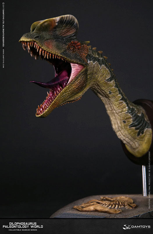 Museum Series - Dilophosaurus Bust B