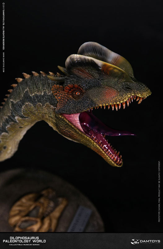 Museum Series - Dilophosaurus Bust B