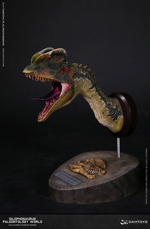 Museum Series - Dilophosaurus Bust B