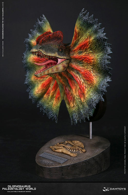 Museum Series - Dilophosaurus Bust C