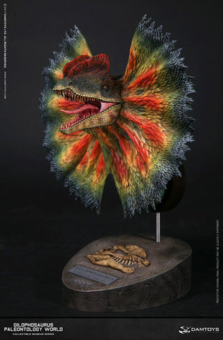 Museum Series - Dilophosaurus Bust C