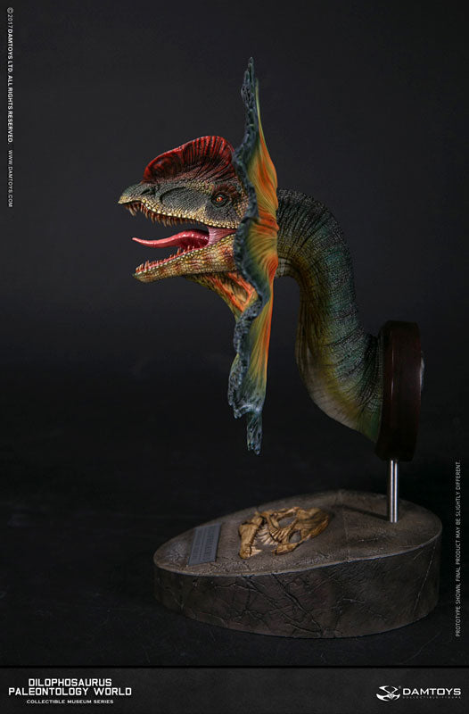 Museum Series - Dilophosaurus Bust C