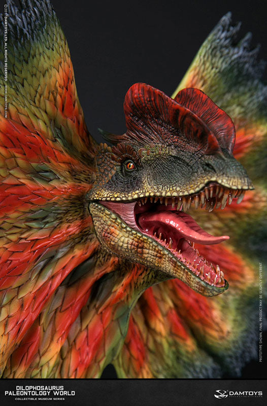 Museum Series - Dilophosaurus Bust C