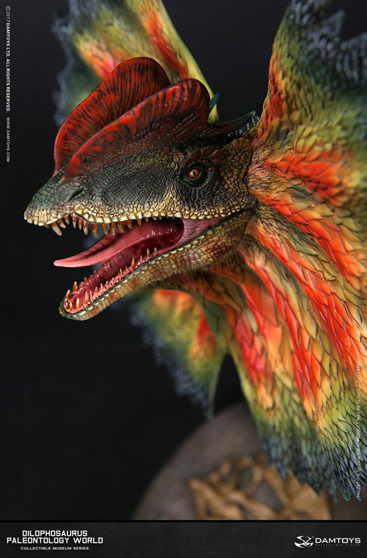 Museum Series - Dilophosaurus Bust C