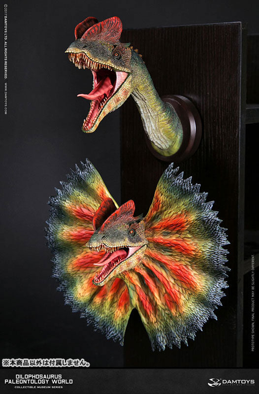 Museum Series - Dilophosaurus Bust C