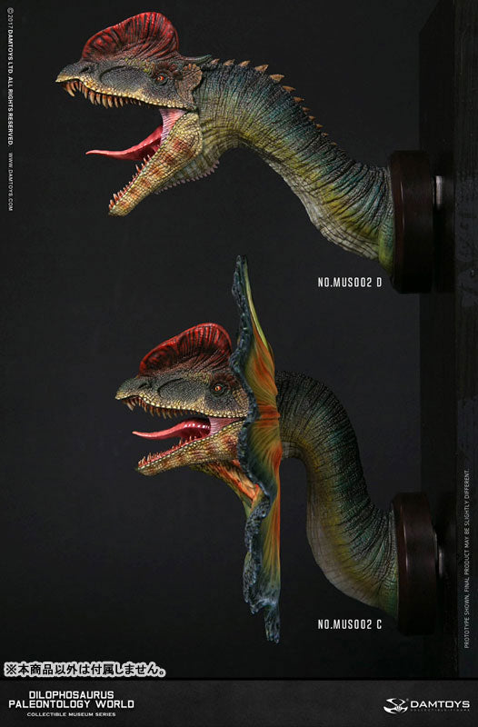 Museum Series - Dilophosaurus Bust C