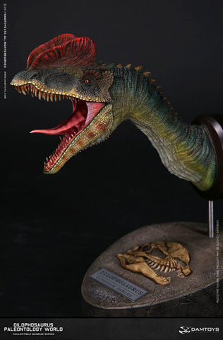 Museum Series - Dilophosaurus Bust D(Provisional Pre-order)