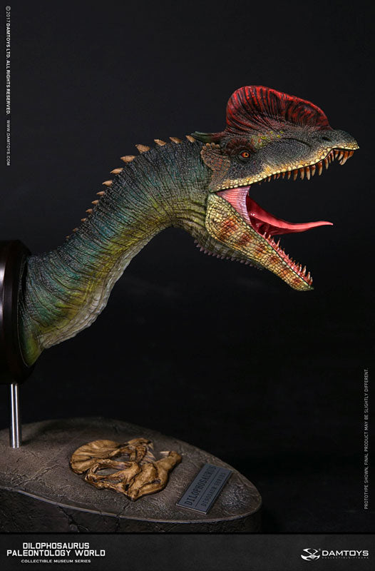 Museum Series - Dilophosaurus Bust D(Provisional Pre-order)