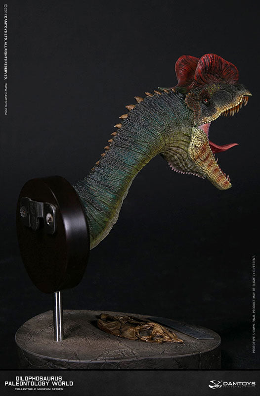 Museum Series - Dilophosaurus Bust D(Provisional Pre-order)