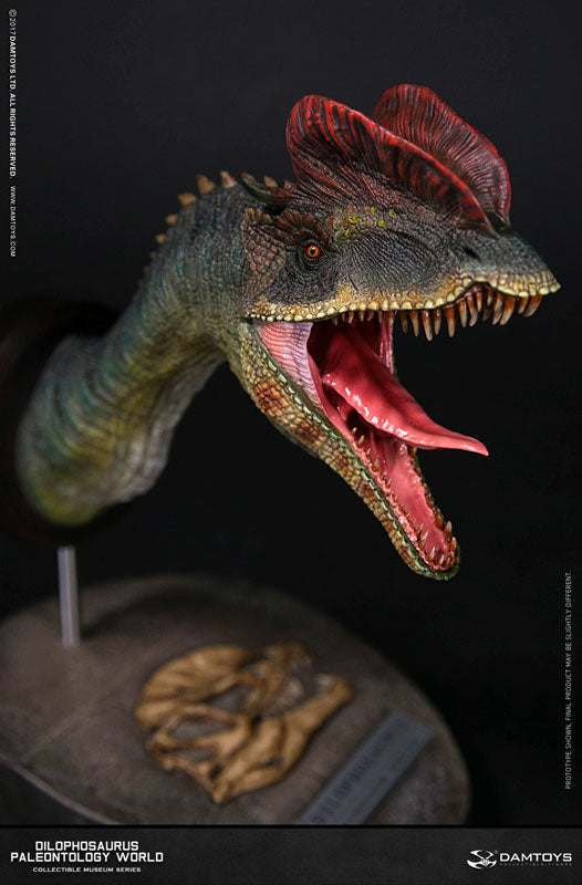 Museum Series - Dilophosaurus Bust D(Provisional Pre-order)