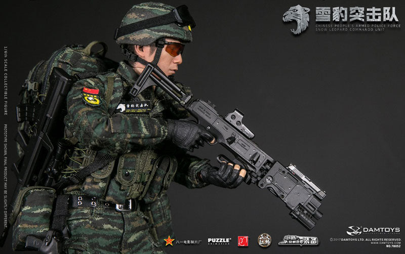 1/6 Action Figure Chinese People's Armed Police Force Snow