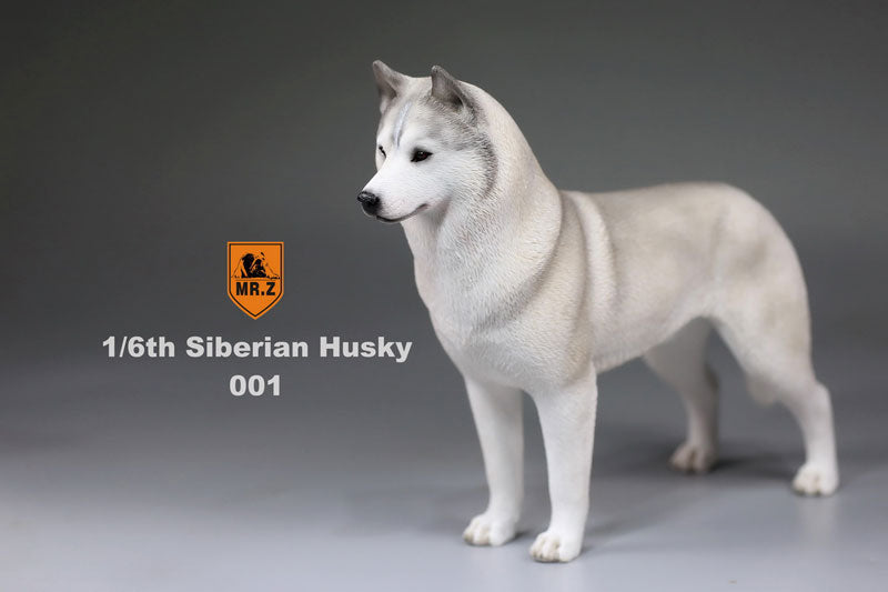 1/6 Siberian Husky 001　