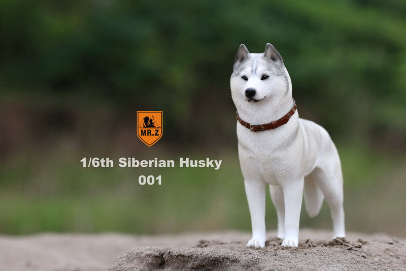 1/6 Siberian Husky 001　