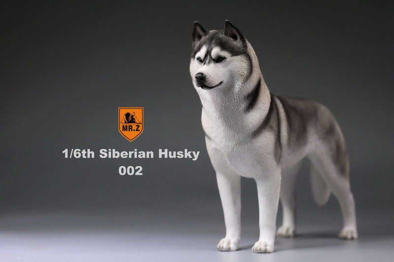 1/6 Siberian Husky 002　