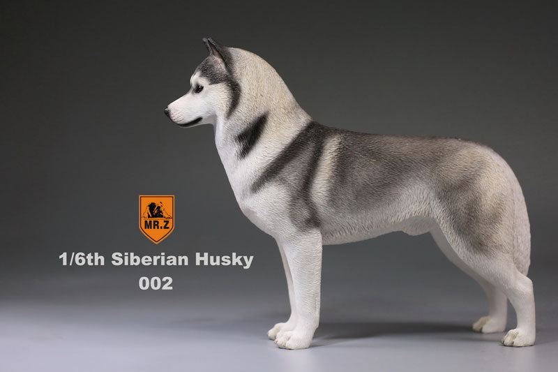 1/6 Siberian Husky 002　