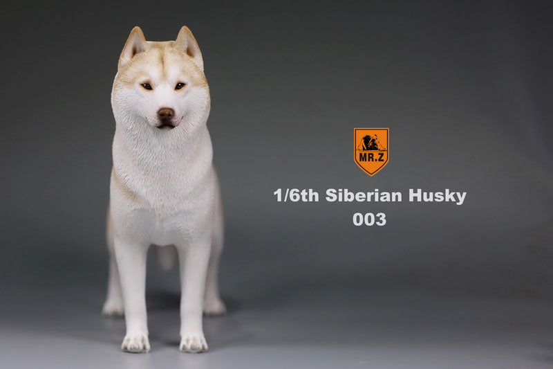 1/6 Siberian Husky 003　