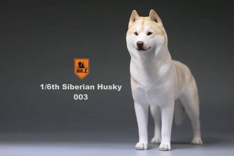 1/6 Siberian Husky 003　