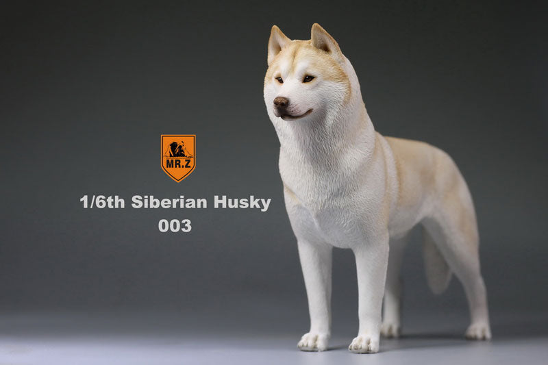 1/6 Siberian Husky 003　