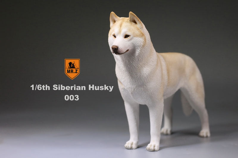 1/6 Siberian Husky 003　