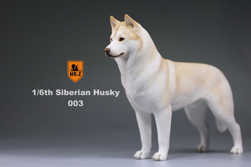 1/6 Siberian Husky 003　