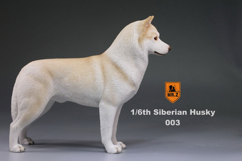 1/6 Siberian Husky 003　