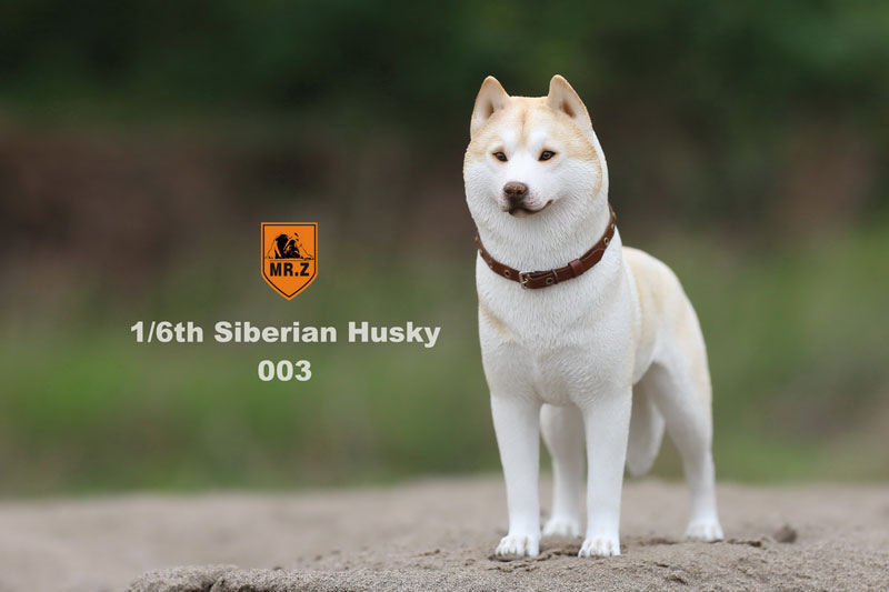 1/6 Siberian Husky 003　