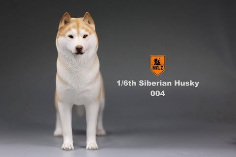 1/6 Siberian Husky 004　