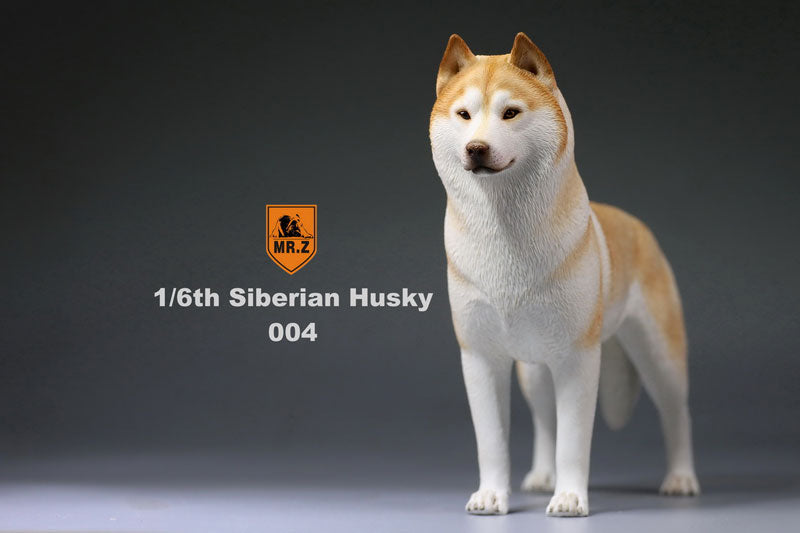 1/6 Siberian Husky 004　