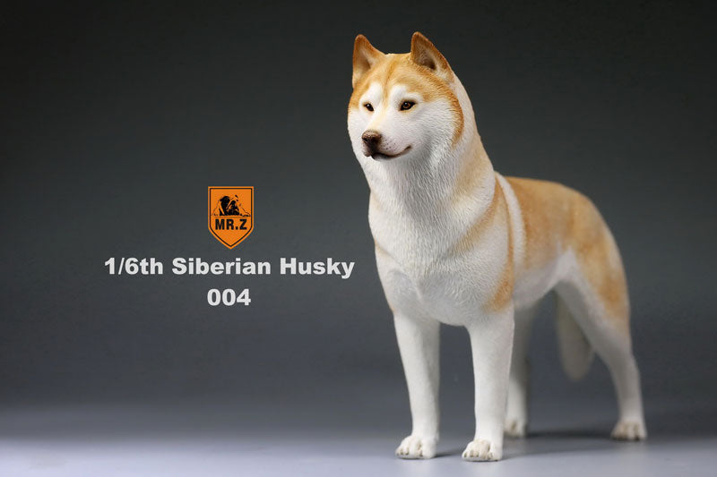 1/6 Siberian Husky 004　