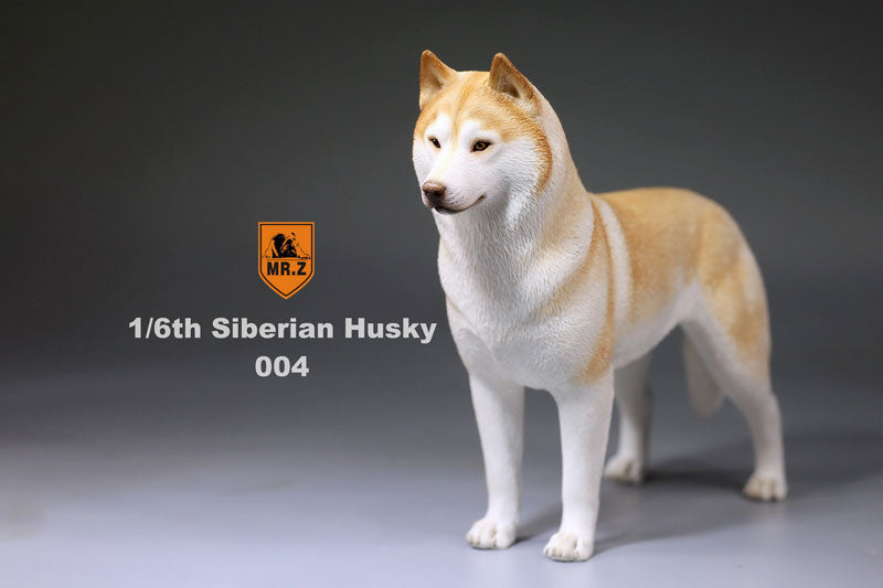 1/6 Siberian Husky 004　