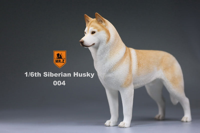 1/6 Siberian Husky 004　