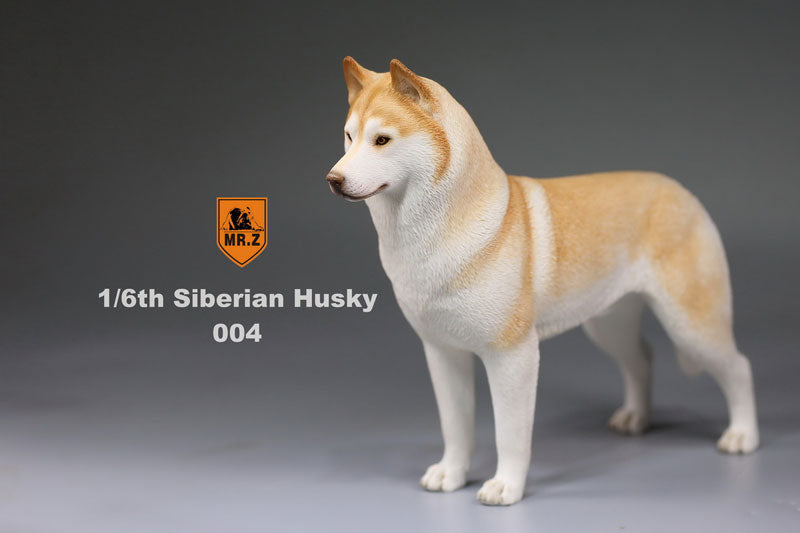 1/6 Siberian Husky 004　