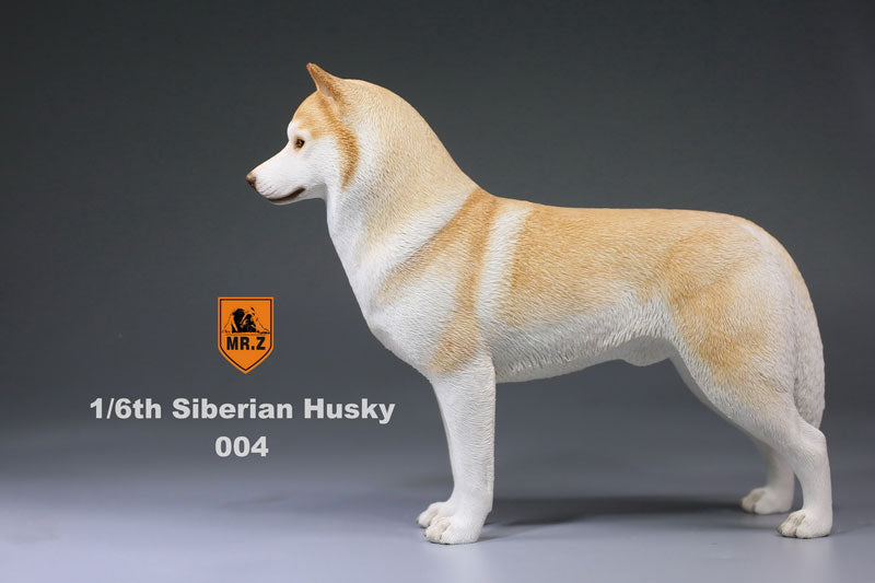 1/6 Siberian Husky 004　