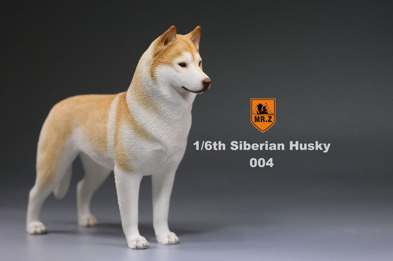 1/6 Siberian Husky 004　